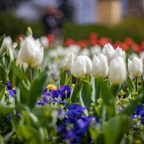 Времето днес: Градусите се качват, на места краткотрайни валежи
