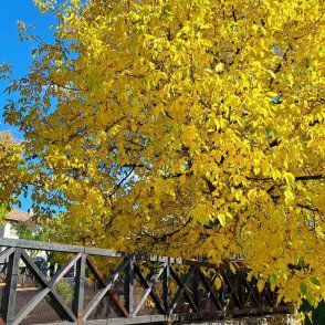 Слънчево и приятно ще бъде времето в сряда