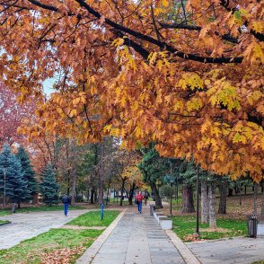 Времето през ноември: От минус 5° до 25°, с валежи около нормата