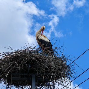 Слънчево и топло ще е днес, с температури до 25&deg;