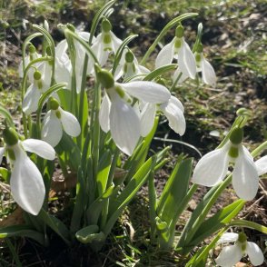 Утре последно слънце преди валежите от дъжд и сняг