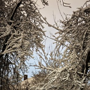 Времето днес: облачно, с валежи от дъжд и сняг