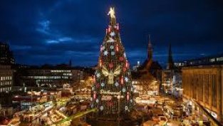 Къде се намира най-високата коледна елха в света 