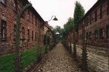 ЕС обмисля закон за забрана на ксенофобията и расизма