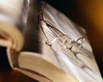Пускат поредица “Безполезни книги”