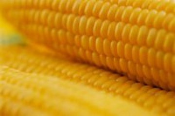 Когато царевицата вика за помощ