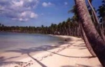 Марион Джоунс и Тим Монгомъри ще стартират на 100 м на Карибите