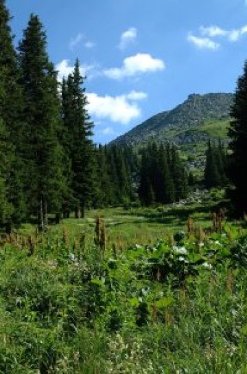 Софиянци ще чистят Витоша заедно с Долорес Арсенова