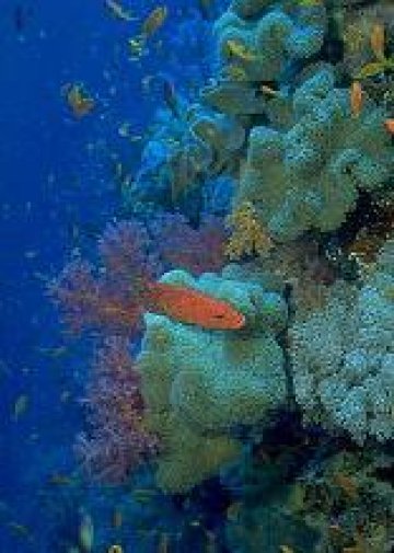 Римският град край Каварна е потъвал два пъти в морето