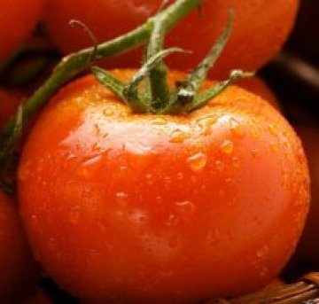 Кашкавалът, сиренето и доматите поевтиняха през юни