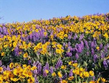 Слънчево и топло ще е времето през август