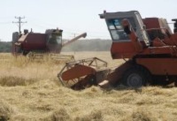 Няма да има зърнена криза