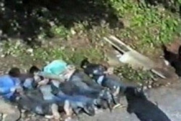 Почти 20 000 души са участвали в клането в Сребреница