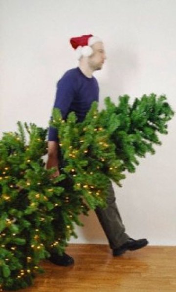 Ще си избираме измежду 300 000 дръвчета за Коледа