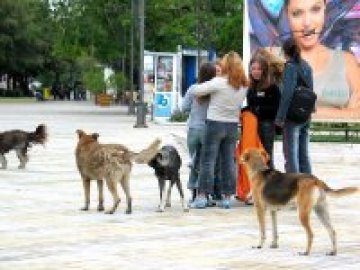 Борисов уволни шефа на &bdquo;Екоравновесие&ldquo;, търси се нов