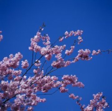 Между минус 3 и 28 градуса през април