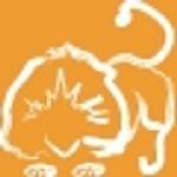 Лъвовете тънат в разкош