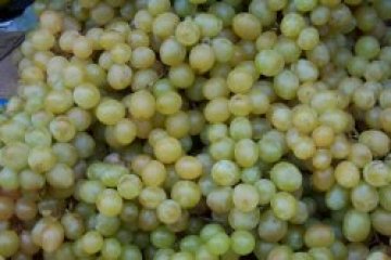 Испания търси наши работници за бране на грозде