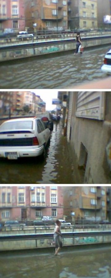 Природата си го изкара на София