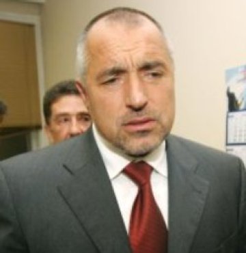 Овчаров хленчел за дъвки и близалки