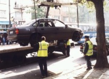 Паяци плъзват из Борисовата градина