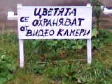 Здравец в центъра на София охраняван като тракийското съкровище