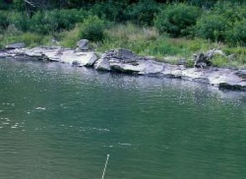 Възрастни видри и монополист чистят Искър