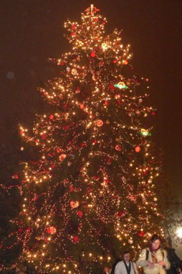 Столицата остава без градски транспорт в коледната нощ