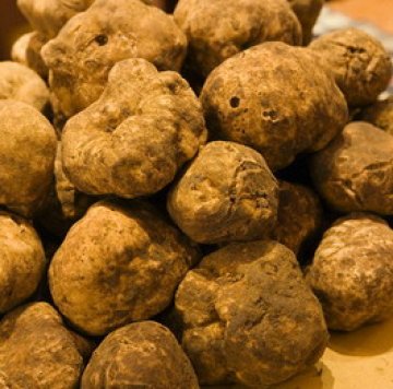 Криза! Настана бясно запасяване с трюфели за 5 хил. лв. килото