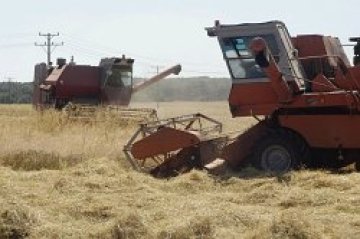Очаква се цената на земеделската земя да расте с 12% годишно