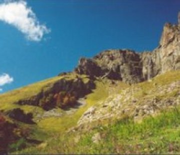 Оцелели птици от ледниковата епоха пеели в Стара планина