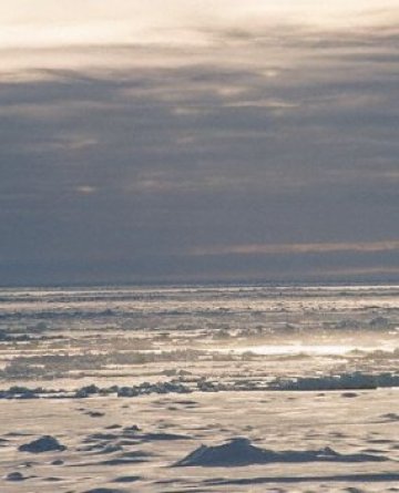 Руснаците видяха Северния полюс отдолу