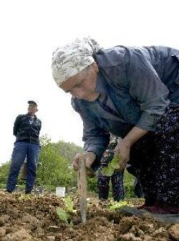 Файненшъл таймс: България е най-ислямската страна в ЕС