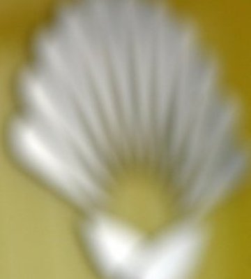 НДСВ залитна към Б.Б.