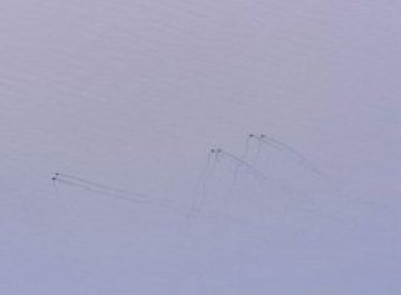 В Китай откриха шест &bdquo;чудовища от Лох Нес&rdquo; накуп