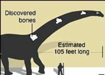 Откриха един от най-големите динозаври
