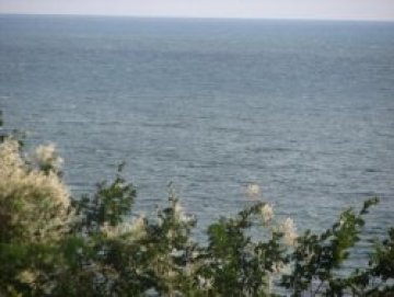 Океаните могат да поемат повече въглероден диоксид