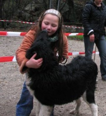 Животинските вируси все по-често разболяват хората