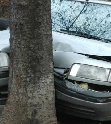 Кола се натресе в дърво