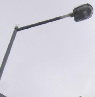 Гасим лампите за 5 минути в &bdquo;Часът на Земята&ldquo;