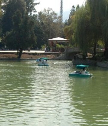 Пълнят "Ариана" от 5-ти, сега садят кипариси