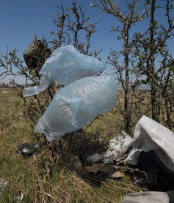 Свежи ГЕРБери удариха рамо на Бойко и пометоха София