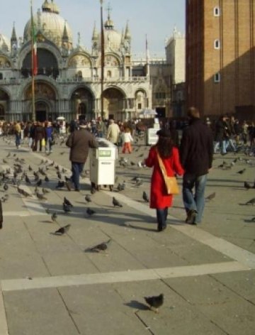 Храниш гълъб &ndash; значи си извън закона