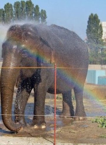 Софийският зоопарк на 120 години