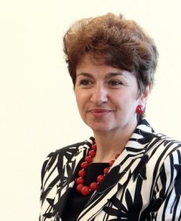 Плугчиева изчетка Чакъров и Борисов