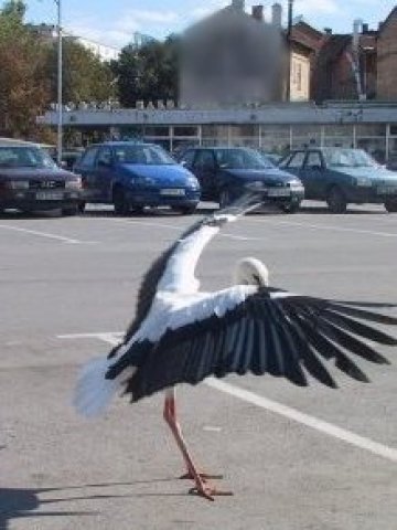 Нови паркинги в София. Кога ли?