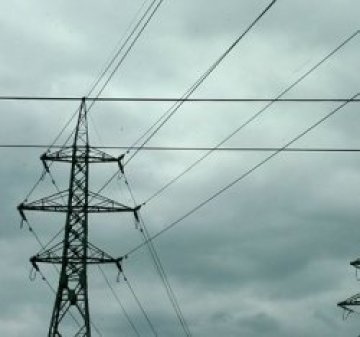 Харчим ток повече от всички в ЕС