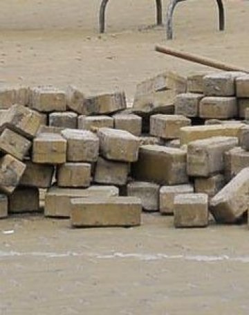 Павета чистят въздуха в холандско селище