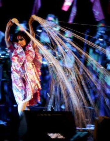 Bjork - босата пеперуда на бурите