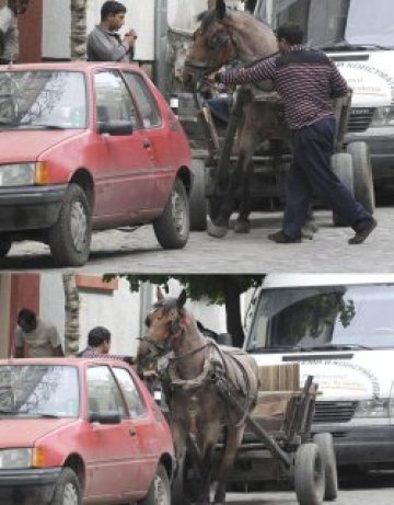 Каруците - на наказателен паркинг, добичетата - на коневръз
